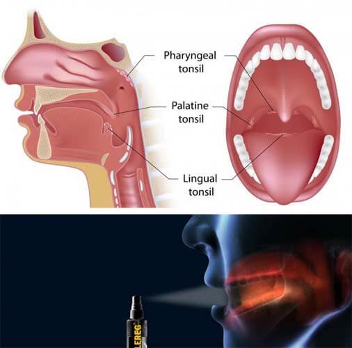 oral sublingual immunotherapy